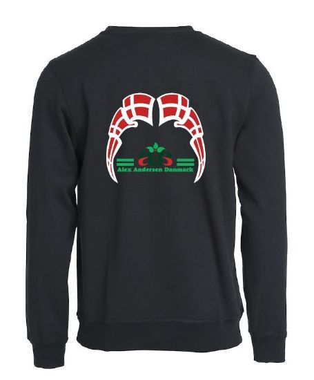 Billede af Sweatshirt med flag